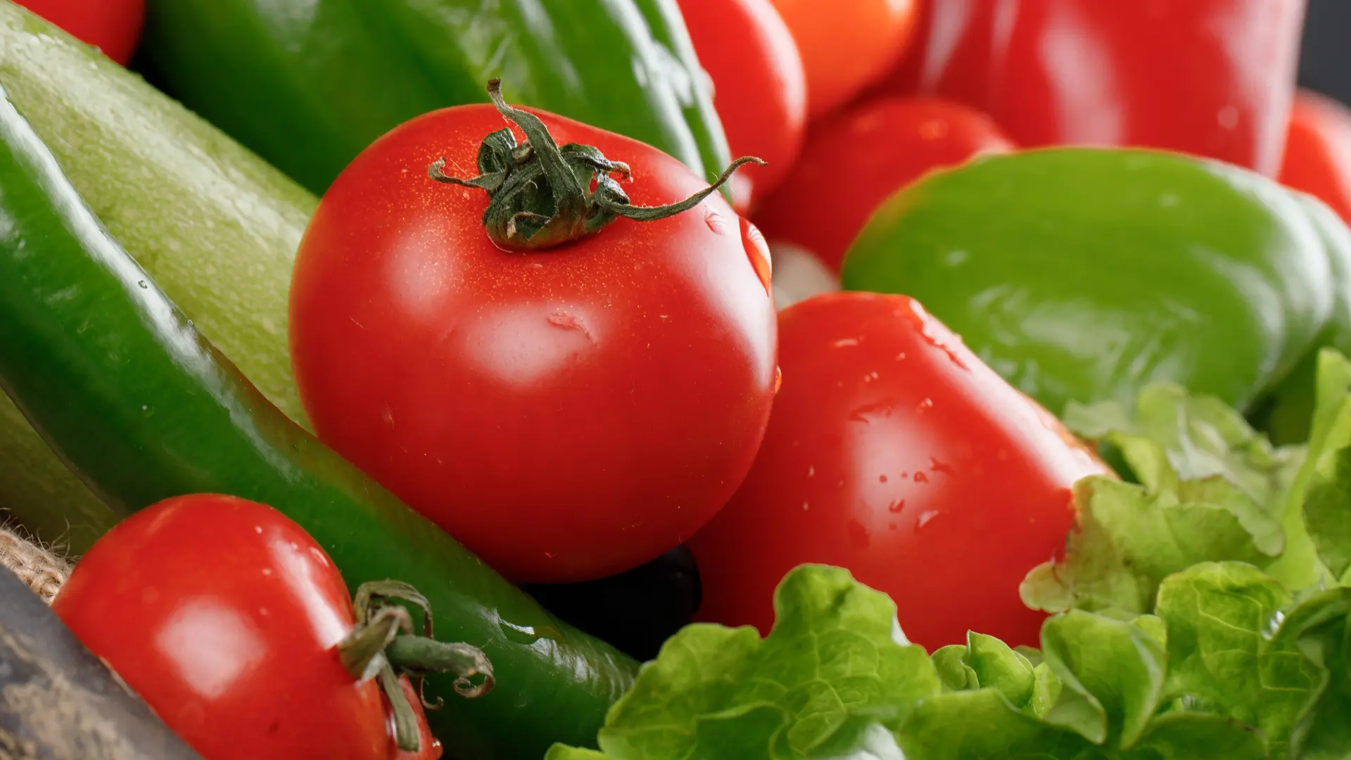 TAFELFREUDEN – Bio-Catering Hamburg 5